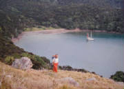 newzealand.jpg