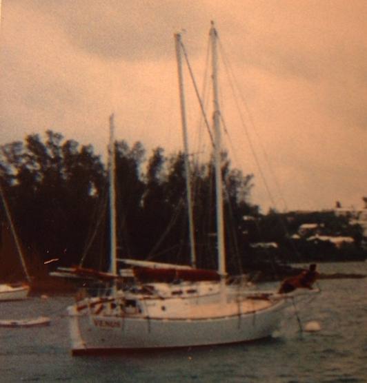 originalvenus28.jpg