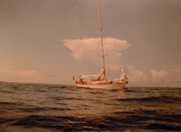 shearwatercalm.jpg